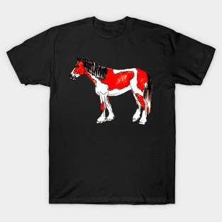 Skewbald horse T-Shirt